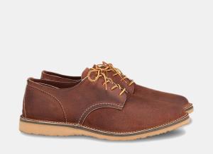 Eternity Oxfords